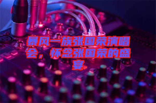 暴風(fēng)一族張國(guó)榮演唱會(huì)，懷念張國(guó)榮的盛宴