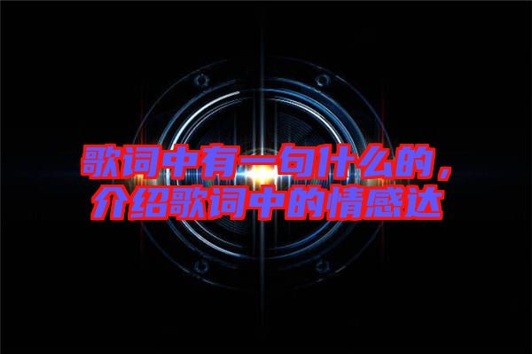 歌詞中有一句什么的，介紹歌詞中的情感達(dá)