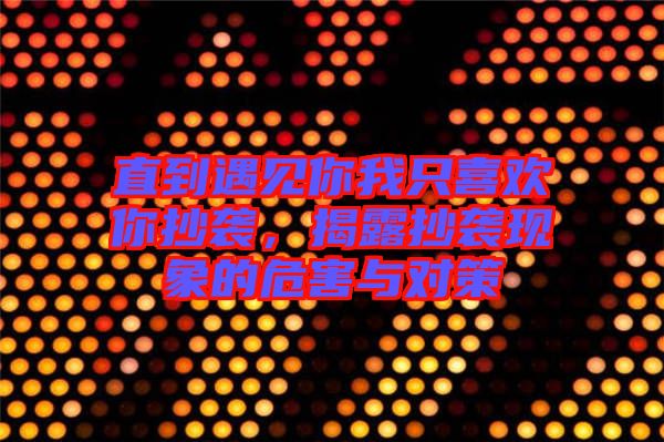 直到遇見你我只喜歡你抄襲，揭露抄襲現(xiàn)象的危害與對策