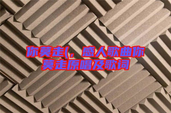 你莫走(，感人歌曲你莫走原唱及歌詞