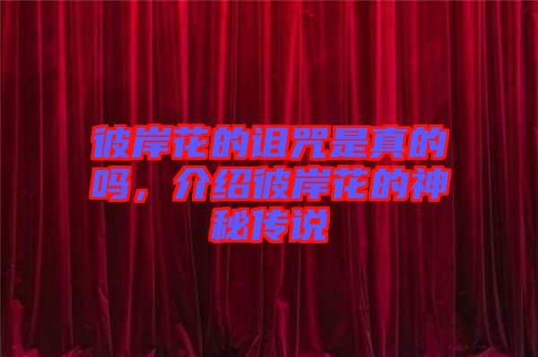 彼岸花的詛咒是真的嗎，介紹彼岸花的神秘傳說(shuō)