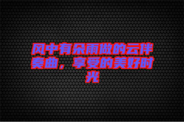 風(fēng)中有朵雨做的云伴奏曲，享受的美好時(shí)光