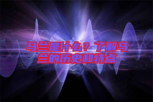 馬蘭是什么？了解馬蘭的歷史和特點
