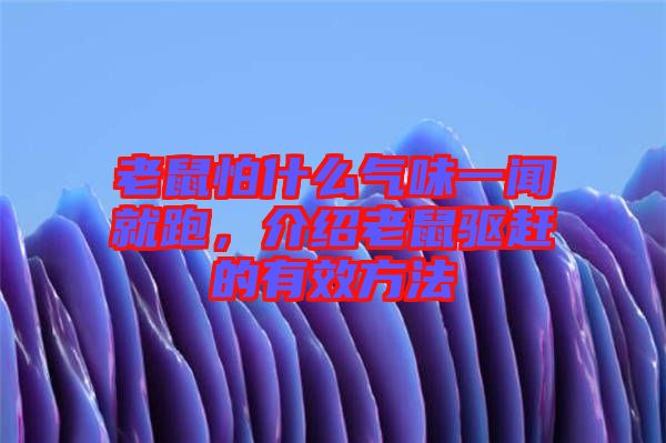老鼠怕什么氣味一聞就跑，介紹老鼠驅(qū)趕的有效方法