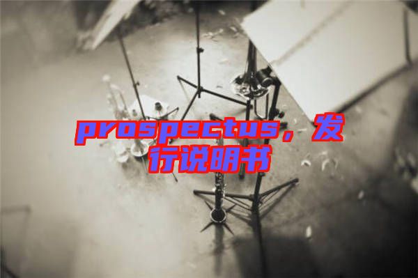 prospectus，發(fā)行說(shuō)明書