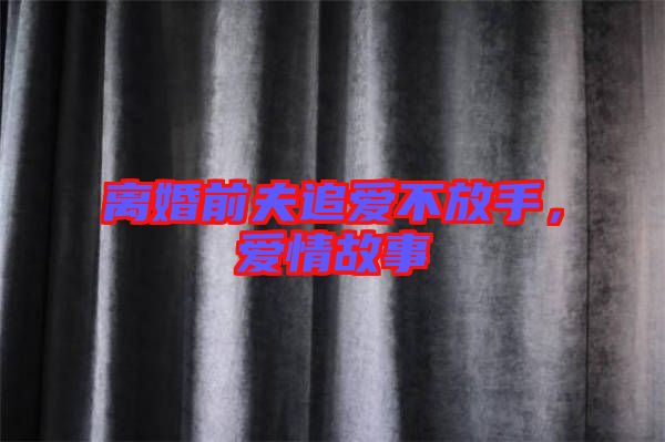 離婚前夫追愛不放手，愛情故事
