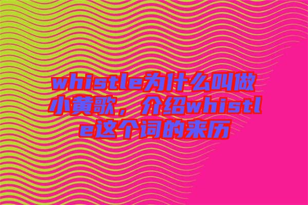 whistle為什么叫做小黃歌，介紹whistle這個詞的來歷