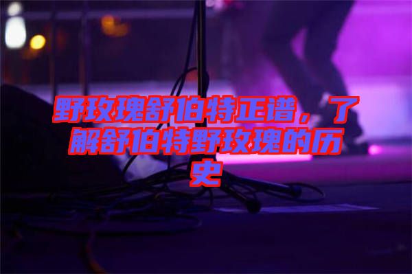 野玫瑰舒伯特正譜，了解舒伯特野玫瑰的歷史