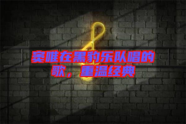 竇唯在黑豹樂隊唱的歌，重溫經(jīng)典