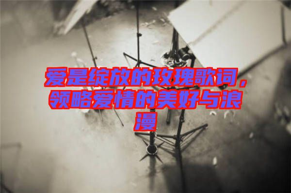 愛是綻放的玫瑰歌詞，領(lǐng)略愛情的美好與浪漫