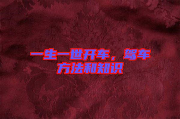 一生一世開車，駕車方法和知識(shí)
