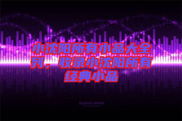 小沈陽所有小品大全列，收錄小沈陽所有經(jīng)典小品