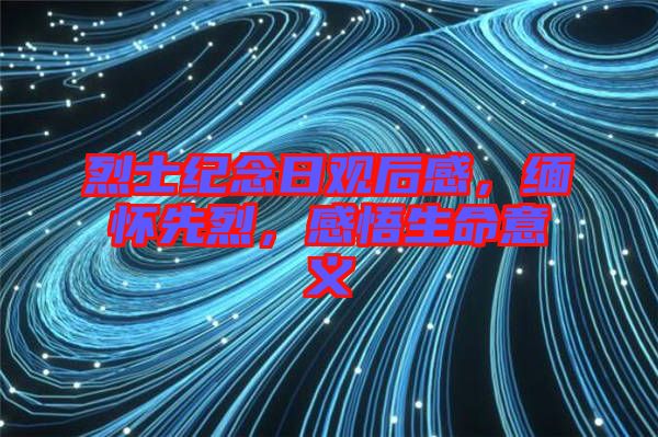 烈士紀念日觀后感，緬懷先烈，感悟生命意義