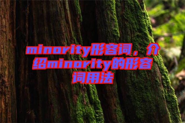 minority形容詞，介紹minority的形容詞用法