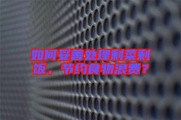 如何妥善處理剩菜剩飯，節(jié)約食物浪費(fèi)？