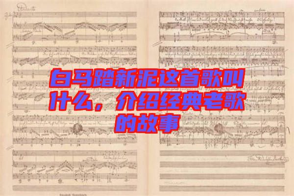 白馬踏新泥這首歌叫什么，介紹經(jīng)典老歌的故事