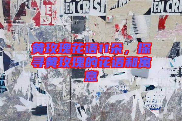 黃玫瑰花語(yǔ)11朵，探尋黃玫瑰的花語(yǔ)和寓意