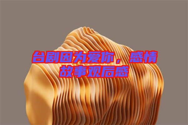 臺(tái)劇因?yàn)閻勰?，感情故事觀后感