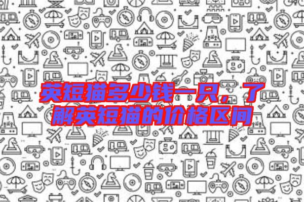 英短貓多少錢一只，了解英短貓的價格區(qū)間