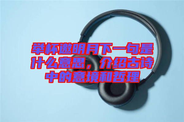 舉杯邀明月下一句是什么意思，介紹古詩(shī)中的意境和哲理