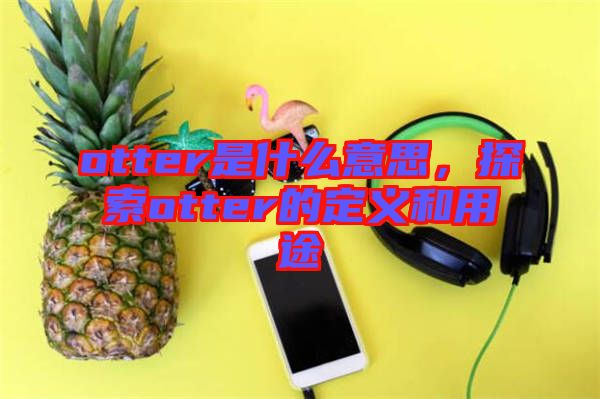 otter是什么意思，探索otter的定義和用途