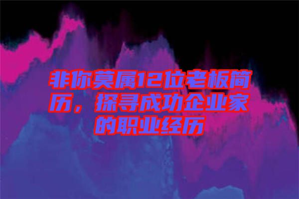 非你莫屬12位老板簡歷，探尋成功企業(yè)家的職業(yè)經(jīng)歷
