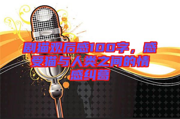 劇貓觀后感100字，感受貓與人類之間的情感糾葛