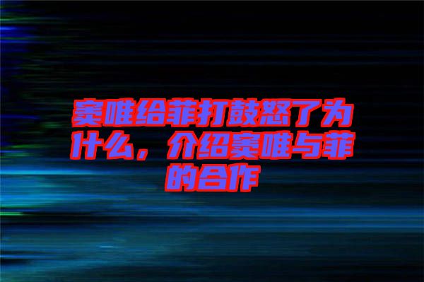 竇唯給菲打鼓怒了為什么，介紹竇唯與菲的合作