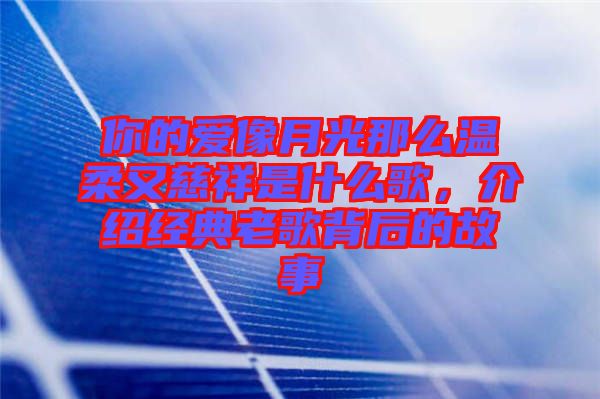 你的愛像月光那么溫柔又慈祥是什么歌，介紹經典老歌背后的故事