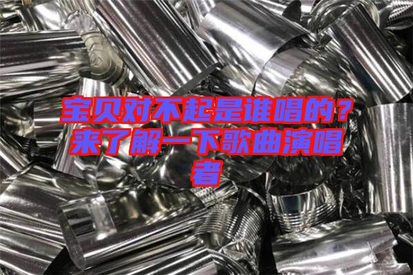 寶貝對不起是誰唱的？來了解一下歌曲演唱者