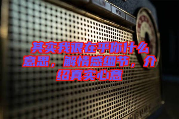其實我很在乎你什么意思，解情感細節(jié)，介紹真實心意