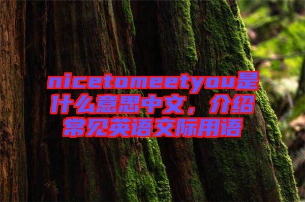 nicetomeetyou是什么意思中文，介紹常見英語(yǔ)交際用語(yǔ)