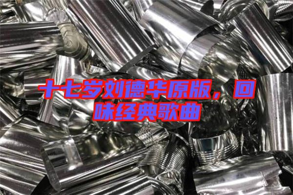 十七歲劉德華原版，回味經(jīng)典歌曲