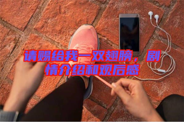 請(qǐng)賜給我一雙翅膀，劇情介紹和觀(guān)后感