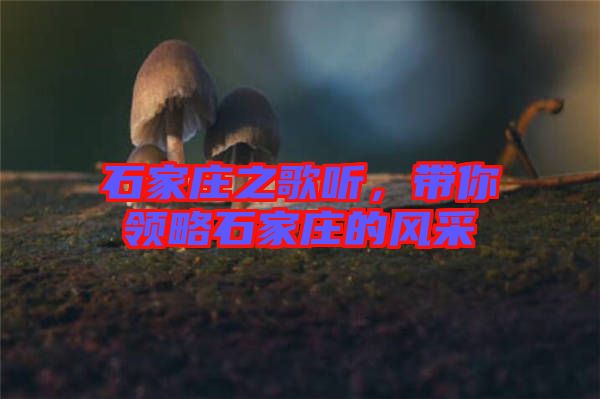 石家莊之歌聽，帶你領(lǐng)略石家莊的風(fēng)采