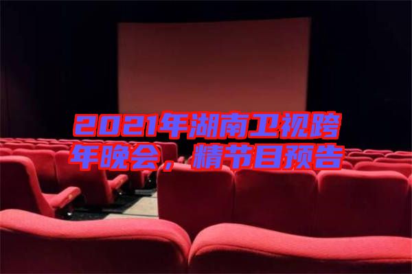 2021年湖南衛(wèi)視跨年晚會，精節(jié)目預告