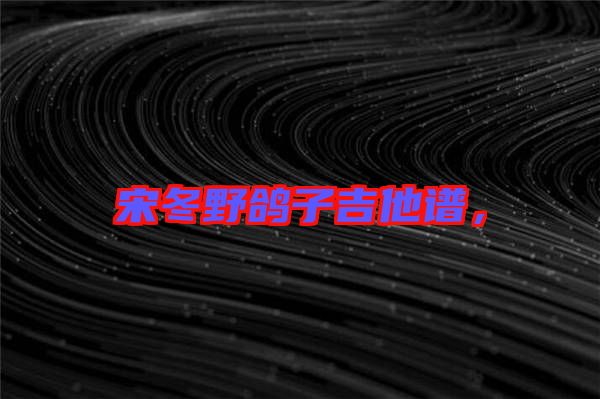 宋冬野鴿子吉他譜，