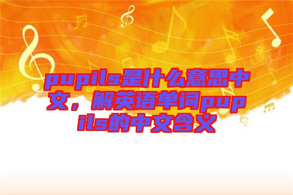 pupils是什么意思中文，解英語單詞pupils的中文含義