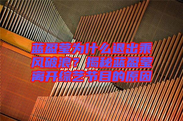 藍(lán)盈瑩為什么退出乘風(fēng)破浪？揭秘藍(lán)盈瑩離開綜藝節(jié)目的原因