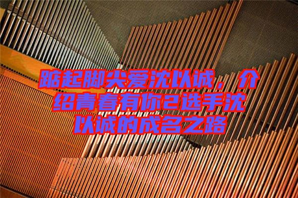 踮起腳尖愛沈以誠，介紹青春有你2選手沈以誠的成名之路