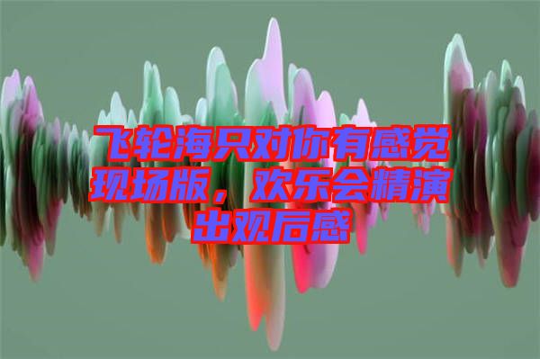飛輪海只對(duì)你有感覺現(xiàn)場(chǎng)版，歡樂會(huì)精演出觀后感