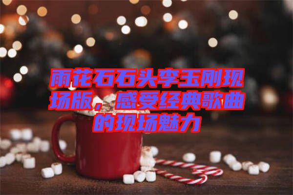 雨花石石頭李玉剛現(xiàn)場(chǎng)版，感受經(jīng)典歌曲的現(xiàn)場(chǎng)魅力