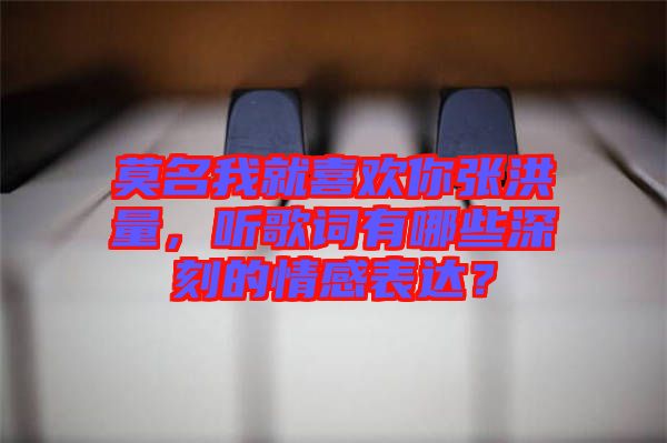 莫名我就喜歡你張洪量，聽歌詞有哪些深刻的情感表達(dá)？
