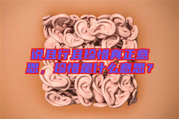 說且行且珍惜真正意思，珍惜是什么意思？