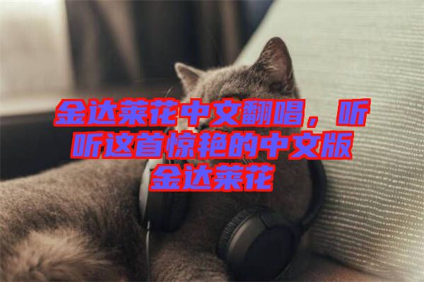 金達(dá)萊花中文翻唱，聽聽這首驚艷的中文版金達(dá)萊花