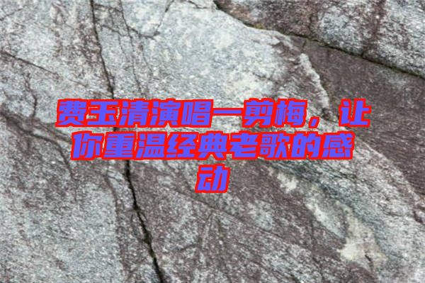 費(fèi)玉清演唱一剪梅，讓你重溫經(jīng)典老歌的感動(dòng)