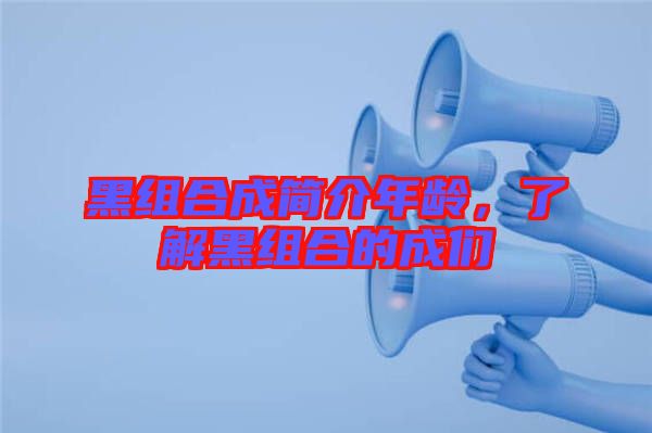 黑組合成簡介年齡，了解黑組合的成們