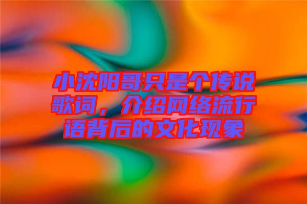 小沈陽哥只是個(gè)傳說歌詞，介紹網(wǎng)絡(luò)流行語背后的文化現(xiàn)象