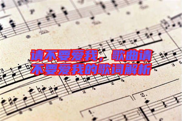 請不要愛我，歌曲請不要愛我的歌詞解析