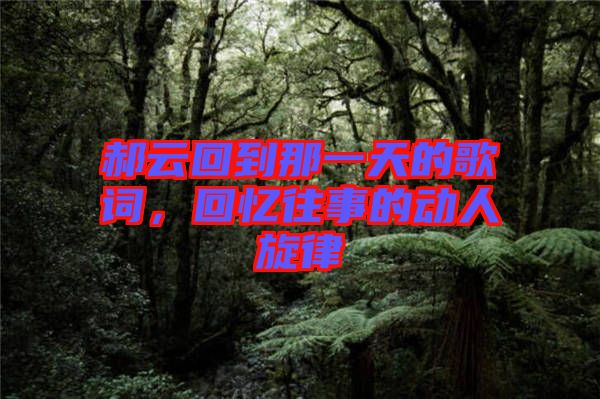 郝云回到那一天的歌詞，回憶往事的動人旋律